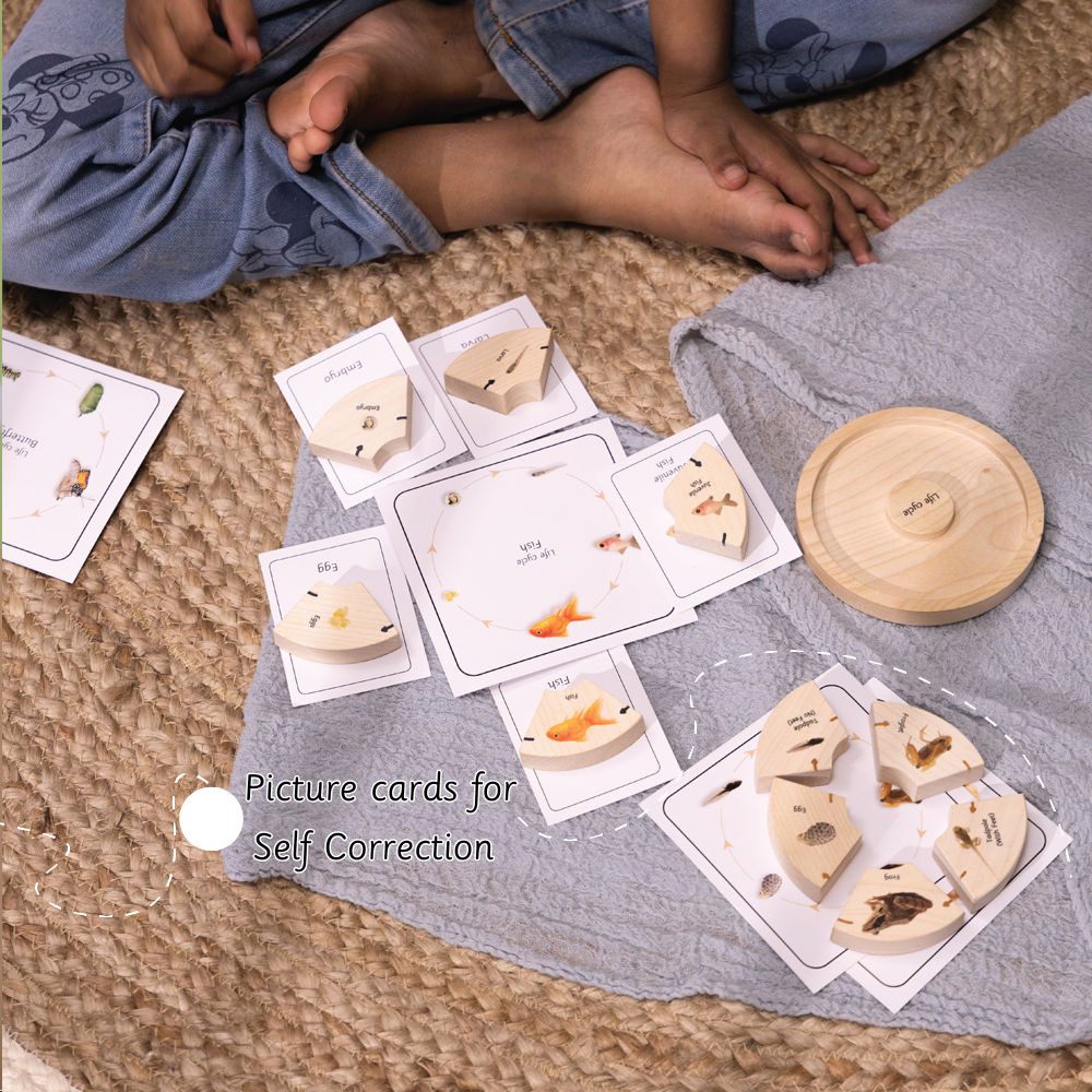 Life Cycle Puzzle - Oviparous